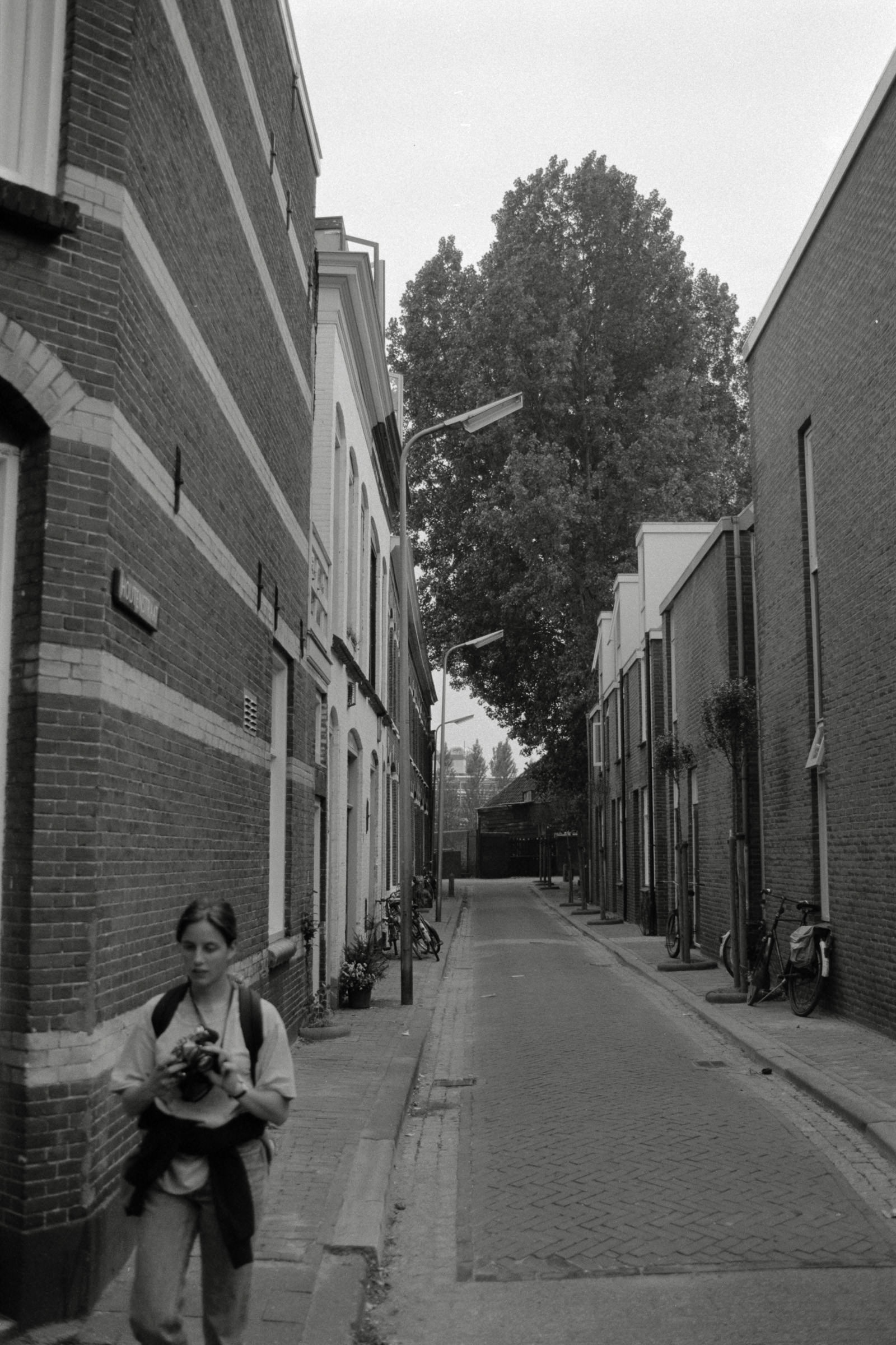 AHP F1992 06 001 sc250507 img11 NLP